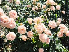 -人民公园(罗湖区)