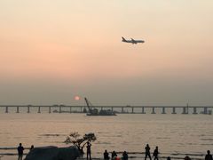 -宝安西湾红树林湿地公园