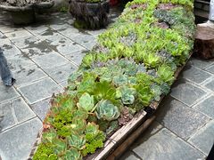 -寂照庵