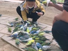 -呀路古热带植物园