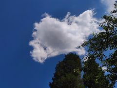 -颐和园