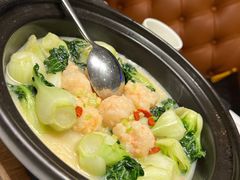 浓汤虾滑奶白菜-尚一汤·粤菜海鲜(汇智国际商业中心店)