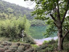 -午潮山国家森林公园
