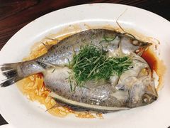 清蒸海鲈-凤厨顺德水乡凤味馆(大良锦龙路店)