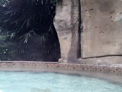 -天赐温泉