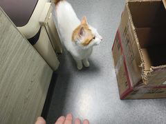 -半岛宠物医院24小时(科华中路店)