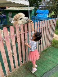 -萌宠亲子动物乐园(槐房万达店)