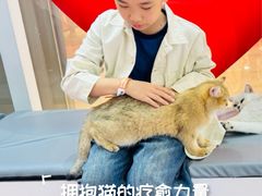 -福田卓悦INTOWN购物中心
