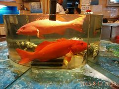 -北海渔村酒楼·粤菜海鲜点心(新华店)