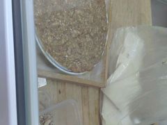 -正宗张记包子(河北宇萃里总店)