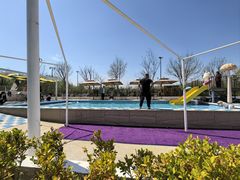 -爪吧宠物乐园 (温榆河示范区店)