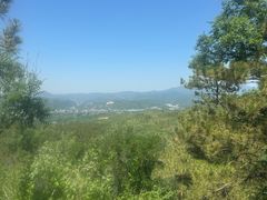-磬锤峰森林公园