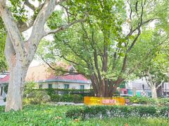 -徐家汇源景区-衡山公园