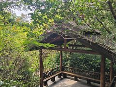-天目湖山水园