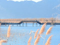-野鸭湖国家湿地公园