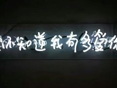 -岭南美术馆