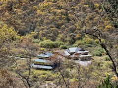 -黄龙山原始森林景区