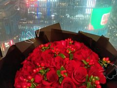 -Hi City·城市之巅