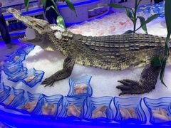 -澜悦港海鲜体验主题餐厅