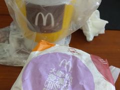 -麦当劳(农光里店)
