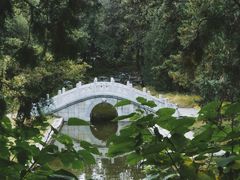 -香山公园