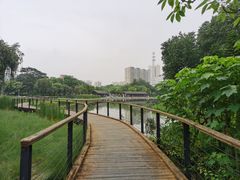 -映月湖公园