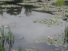 -清溪水库