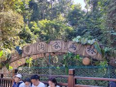 -西双版纳原始森林公园