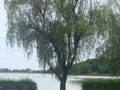 -上海月湖雕塑公园