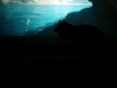 -国文影城(上海闸北店)