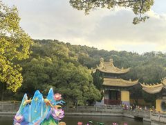 -普陀山风景名胜区-法雨禅寺
