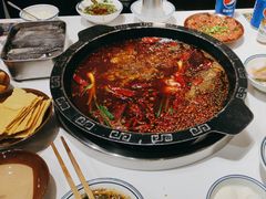 -卤校长老火锅(杨家坪直营店)