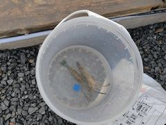 -DGE季风钓虾营地·团建·聚会