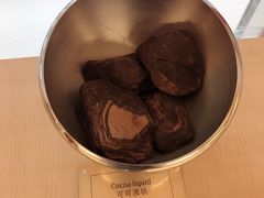 -歌斐颂巧克力小镇