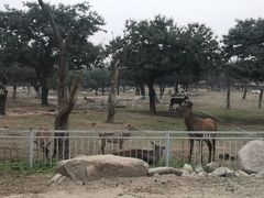-西安秦岭野生动物园