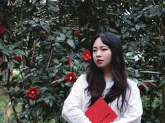 -金花茶公园