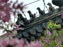 -潭柘寺景区