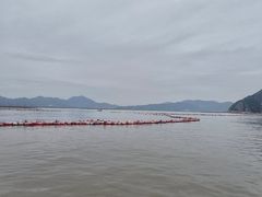 -北岐滩涂