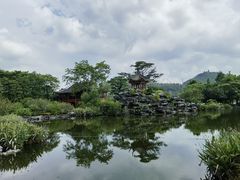 -顺峰山公园