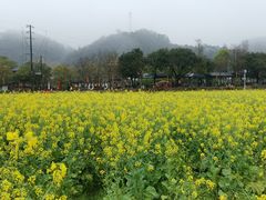 -红山村