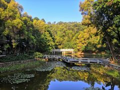 -深圳国际园林花卉博览园