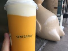 森芝味芒芒-SENTEA森茶(麦地丽日店)