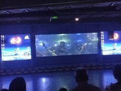 -重庆欢乐海底世界