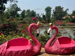 -海南热带野生动植物园