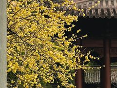 -钱王祠