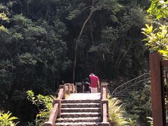 -龙湾潭国家森林公园