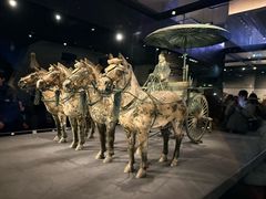 -秦始皇帝陵博物院-丽山园