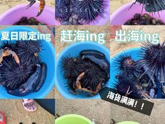 -巽寮湾