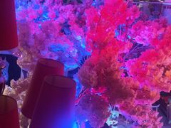 -巴特餐饮6加1音乐餐吧·新疆菜