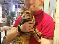 -小时光咖啡馆(开森度假森林店)